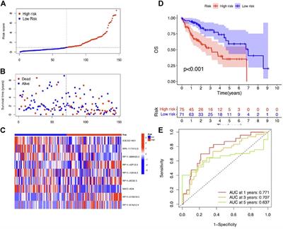 Prognostic Signature and Tumor Immune Landscape of N7-Methylguanosine-Related lncRNAs in Hepatocellular Carcinoma